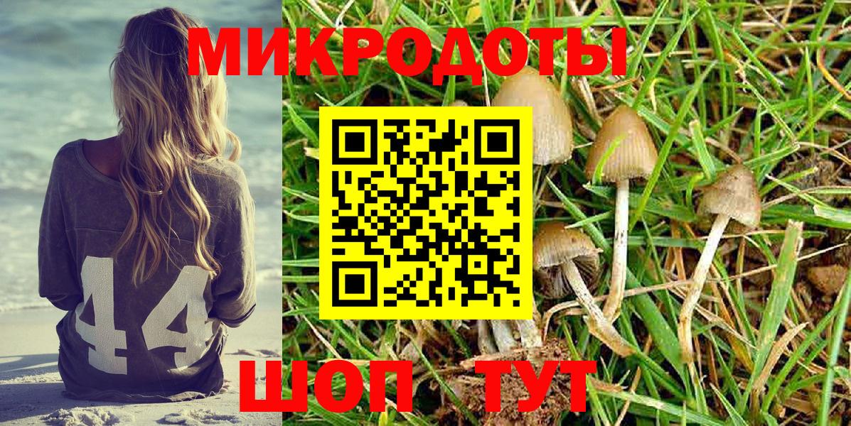 Тихорецк  Галлюциногенные грибы GOLDEN TEACHER  Галлюциногенные грибы мухоморы  Вход с VPN 